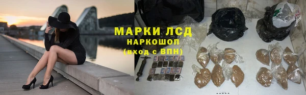 ПСИЛОЦИБИНОВЫЕ ГРИБЫ Балахна